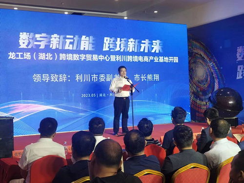 大龙网龙工场湖北跨境数字贸易中心正式开园，为区域经济注入新动能